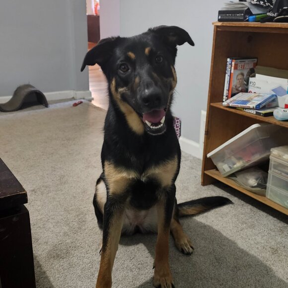 💥10/30 @ 8:40 AM EST Come Hang With Us!! Like This Flyer!!🎈 - Picture 5 of 11